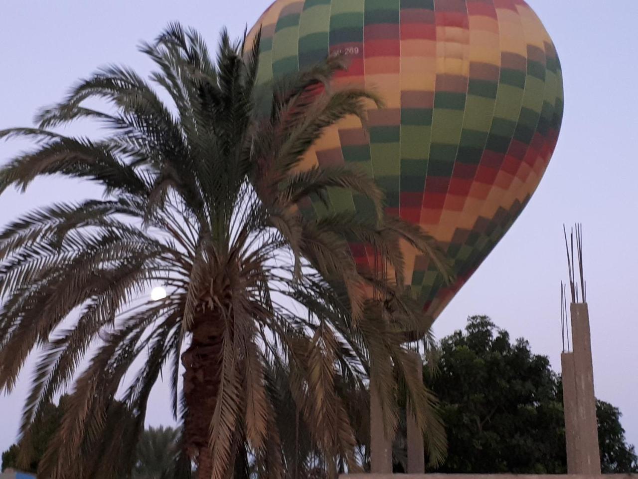 Sunflower Guest House Luxor West Bank Екстериор снимка
