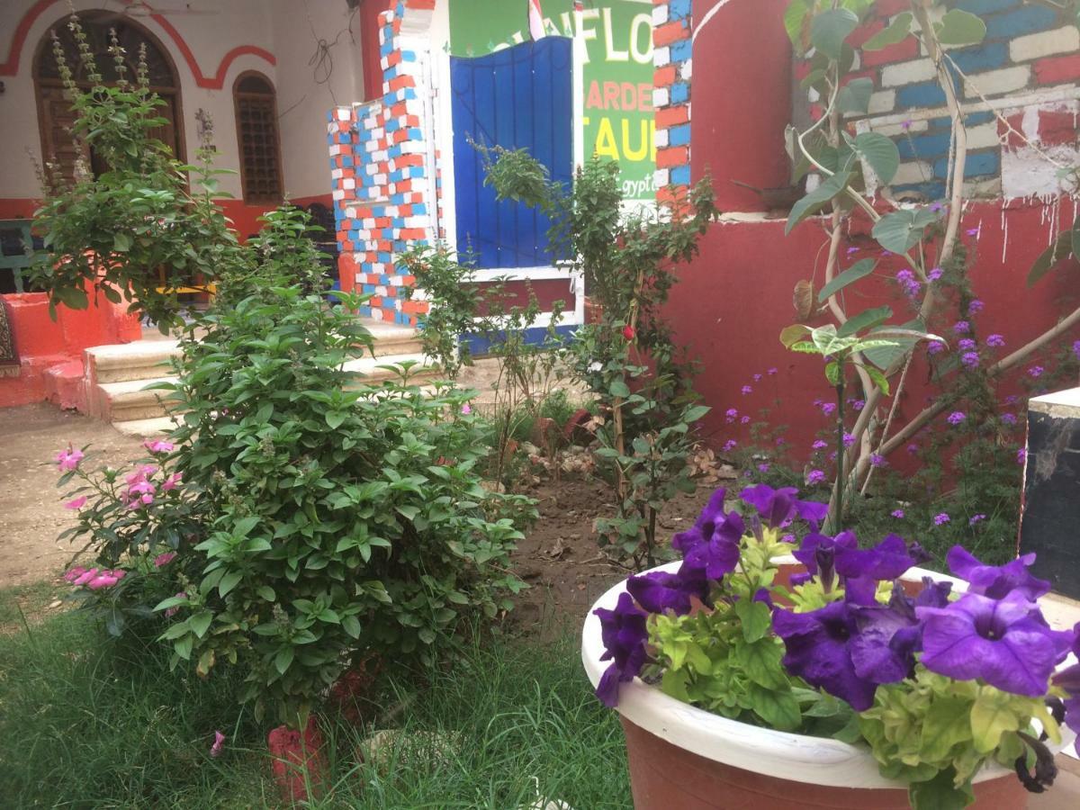 Sunflower Guest House Luxor West Bank Екстериор снимка