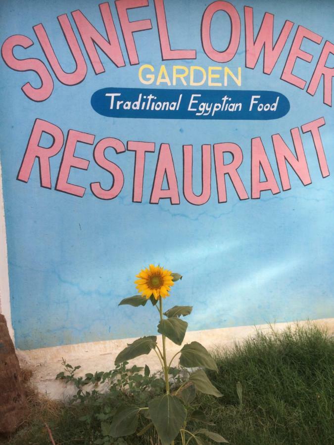 Sunflower Guest House Luxor West Bank Екстериор снимка